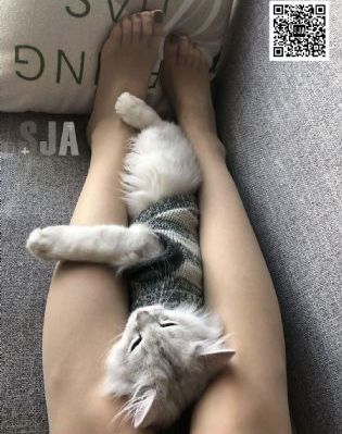 女子私密保健偷拍视频_BD国语电视剧在线观看
